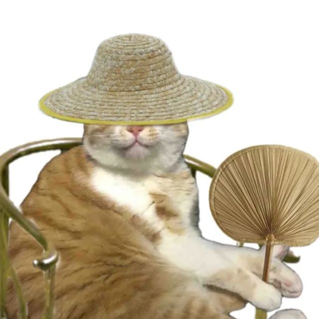 表情包:奇奇怪怪橘猫表情包