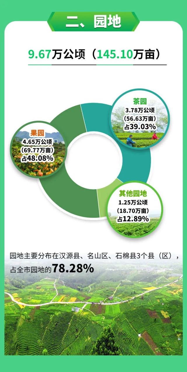 一图读懂雅安市第三次全国国土调查主要数据公报