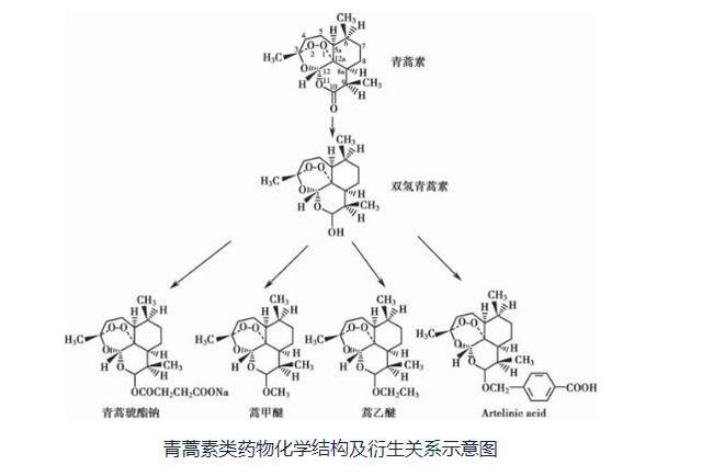 青蒿素及其衍生物化學結構那麼,能夠當藥使用的青蒿素究竟又是什麼呢?