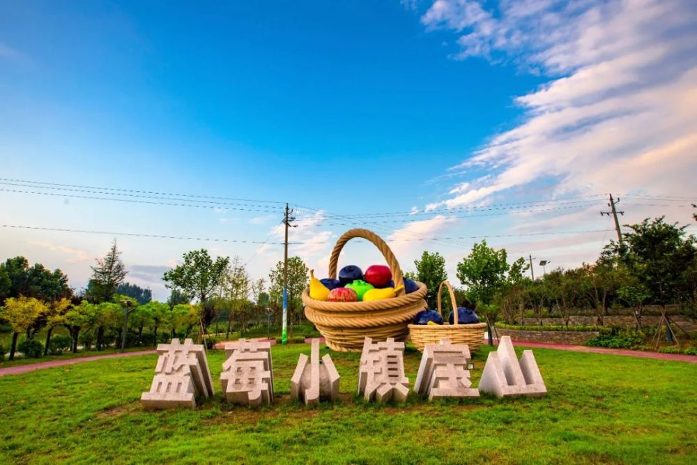 青岛宝山镇:"小蓝莓"托起乡村振兴"大梦想"_腾讯新闻