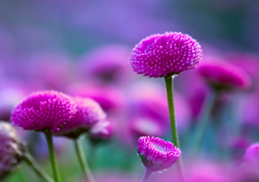 4月27日 5月日 好运袭来 吉兆当头 钱财源源不断的生肖 天天看点