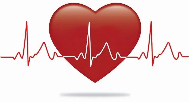 心跳过缓长寿心跳多少算正常答案是