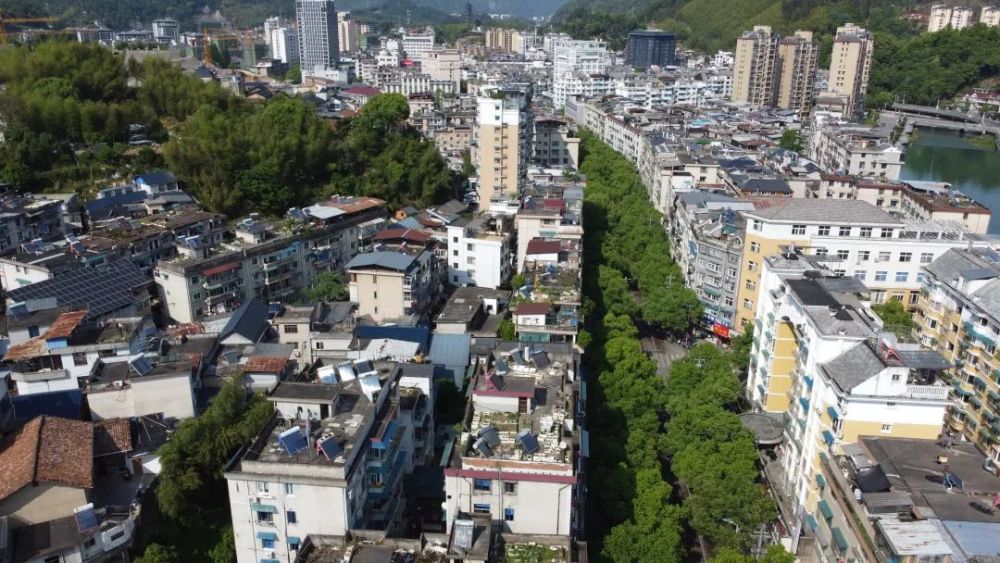 内里却是另一番景象外头看去"还不错"的街道没有深入过遂昌老城区的人