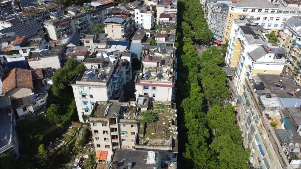 遂昌妙高山隧道规划图片