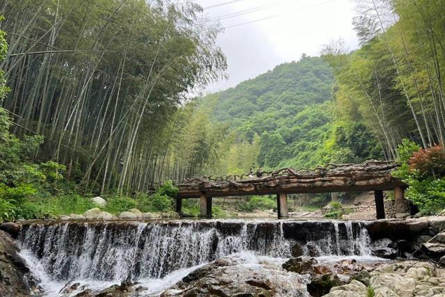 在大隱鎮下轄的幾個村子裡,離鎮上最遠的就是芝林村.