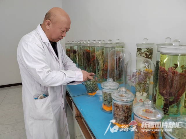 王仁阿山深處採藥人尋百花識千草