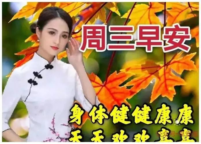 星期三漂亮早上好問候動態表情圖片大全週三最美早安問候祝福語圖片帶