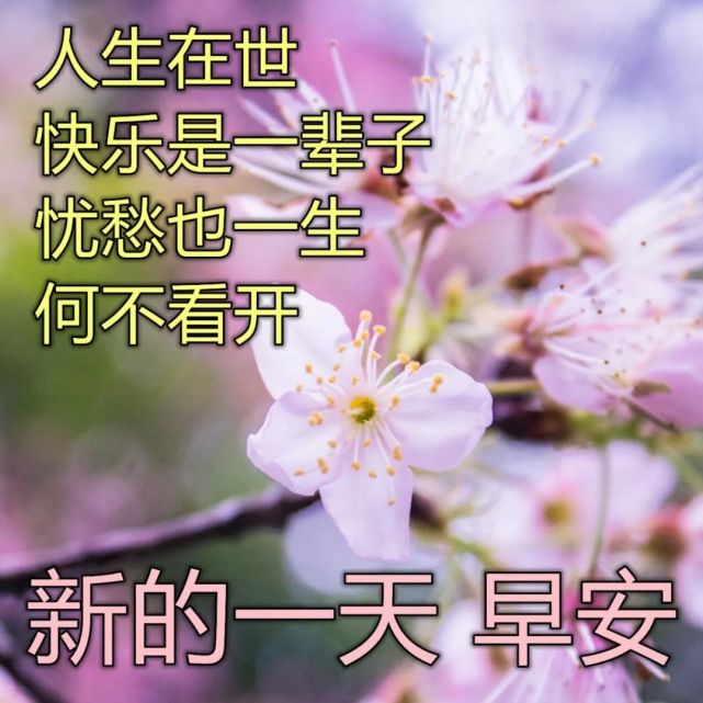 5月1号早安图片图片