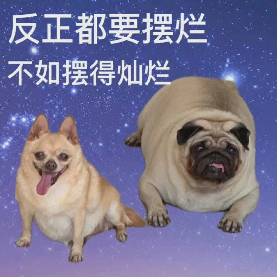 表情包摆烂表情包合集