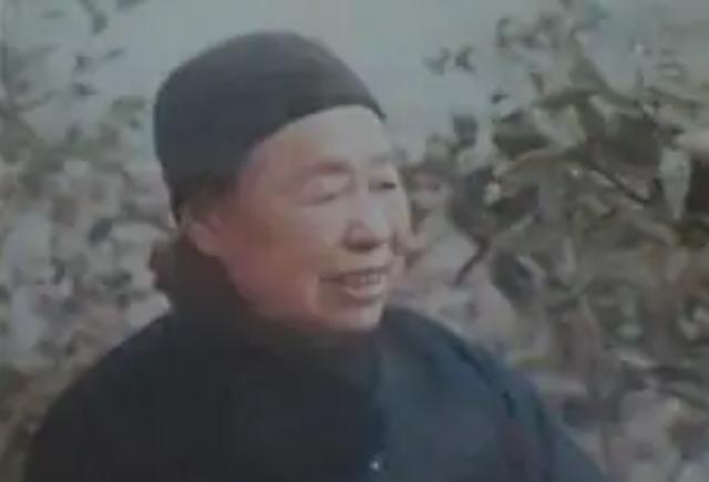 江西农妇隐姓埋名50年，74岁得知蔡畅病重携子来京：我是陈毅夫人安检手检注意事项