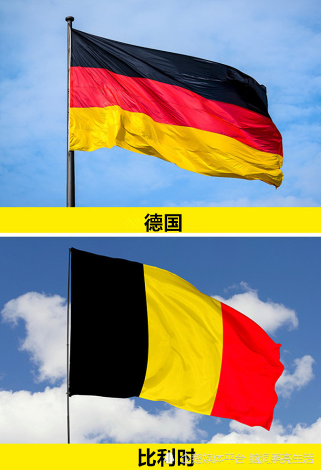 2,德国国旗对比利时国旗虽然蚊子和大蚊,无论是从名字还是外观来讲,都