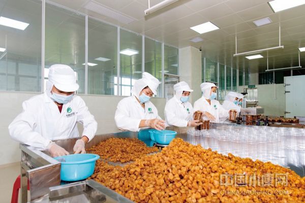 果脯加工