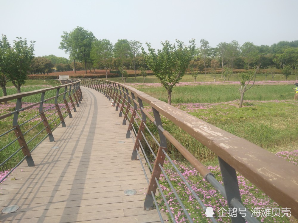 郑州北龙湖湿地公园美景_腾讯新闻