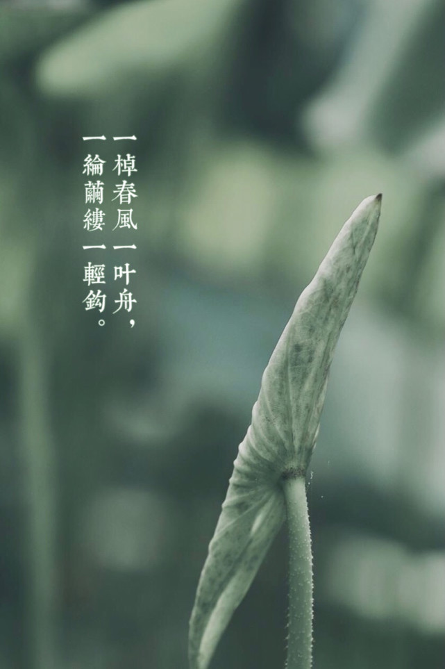 漁父:詞牌名,亦作《漁父詞》或《漁歌子》.綸:比較粗的絲.