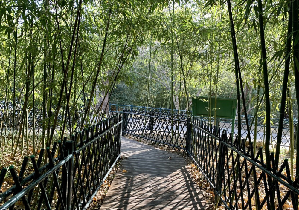 位于三环边上的紫竹院公园,因园内西北部有明清时期庙宇"福荫紫竹院"