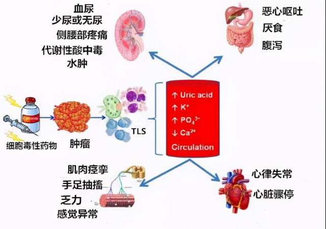 谷丙转氨酶高吃什么_丙谷转氨酶一直高降不下来_丙谷转氨酶偏高需要吃药吗