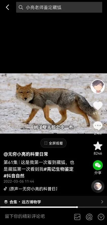 (@无穷小亮去嘉塘保护区拍摄的藏狐,该视频光是点赞数就超过了41万)