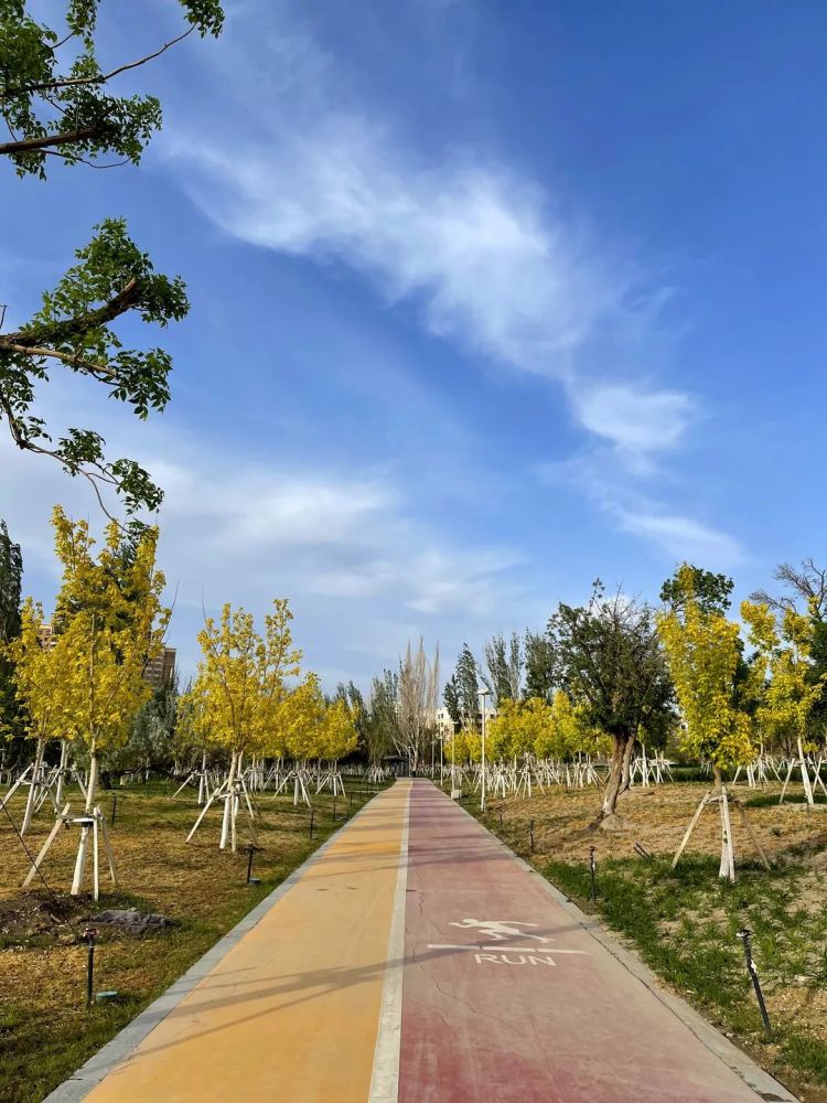 哈密市首家廉洁文化主题公园开园