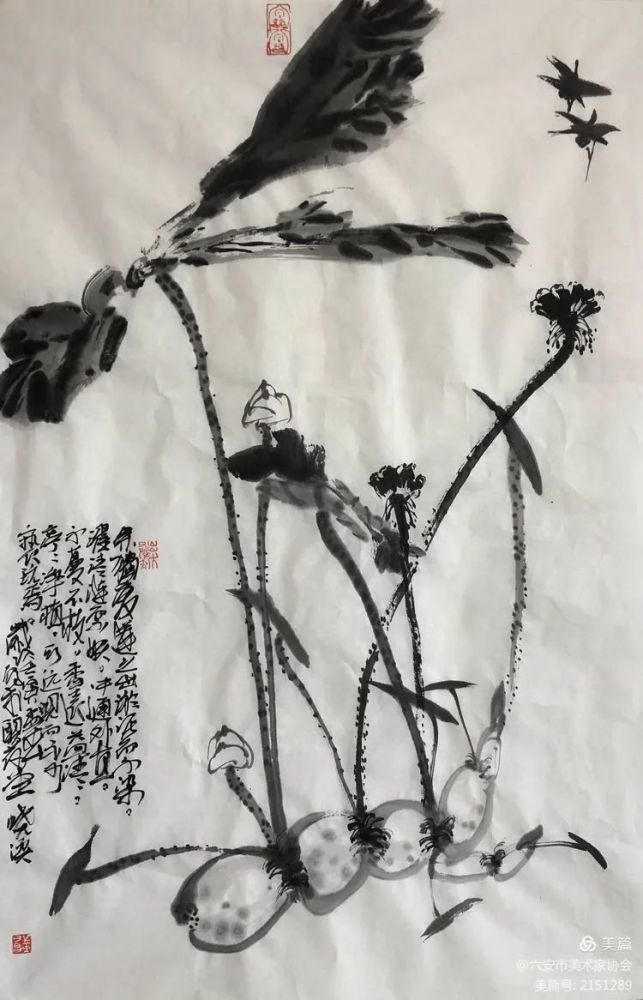 殷晓溪花鸟画作品欣赏图片