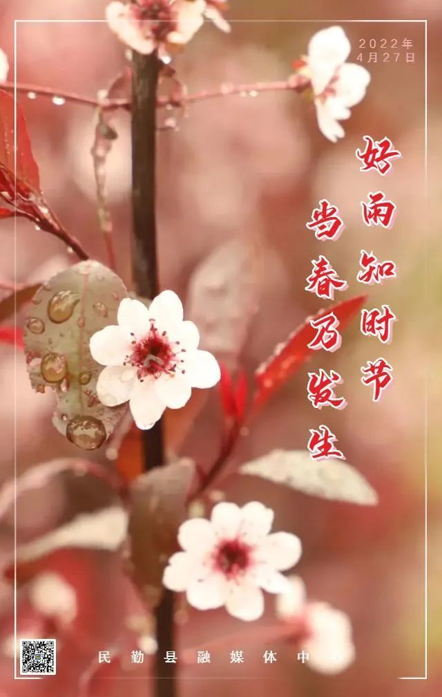 【微海报】好雨知时节 当春乃发生