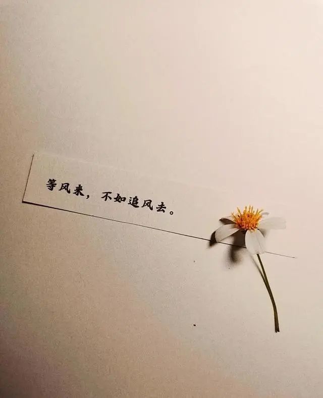 暖心朋友圈文案简单干净