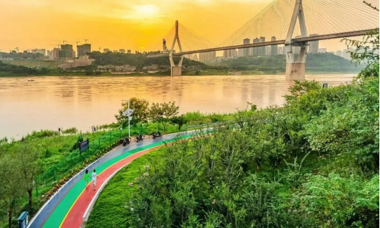 巴南区:巴滨湿地 滨水风景巴滨路阳春湿地公园,位于巴滨路中心地带