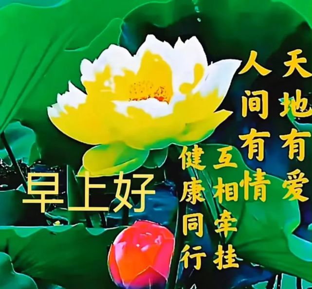 特殊时期精选美好早安祝福动图美图大全,新的一天早上好问候专辑推荐