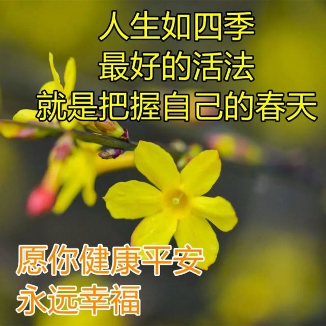 最新漂亮鸟语花香早上好动态表情包 清晨早安问候祝福动画表情图片