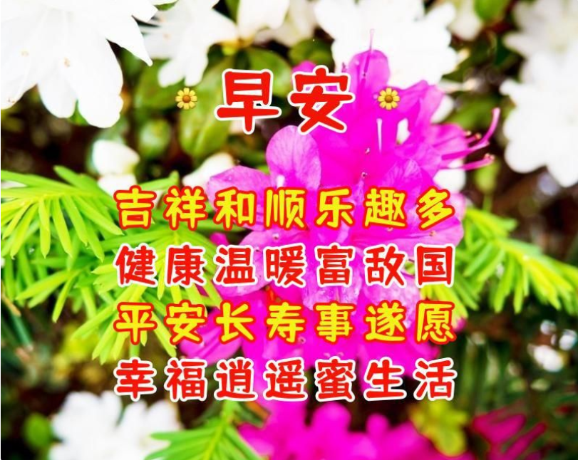 早上好祝福吉祥平安健康