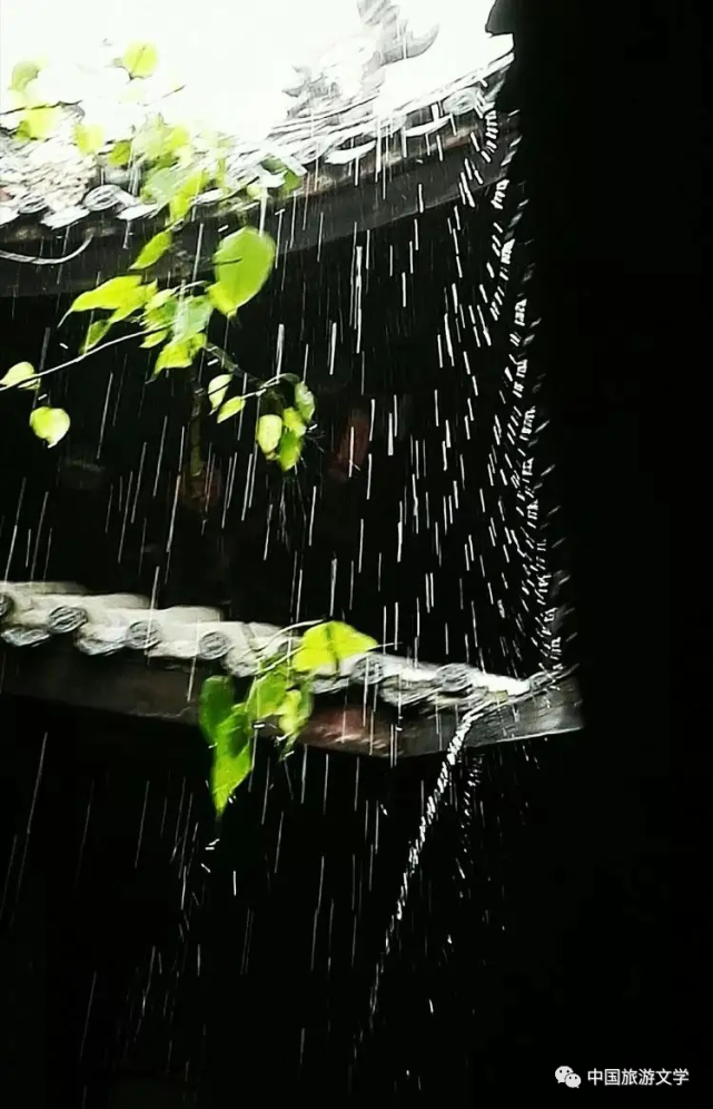 行走丨听雨