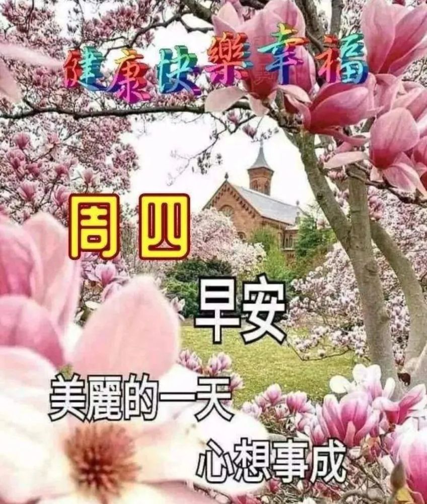 星期四周四早上好問候語錄最棒最漂亮早晨好溫馨問候動態表情圖片祝福