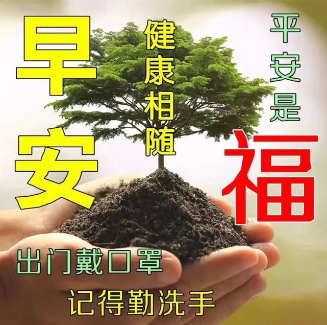 有了"绿码"就心安.