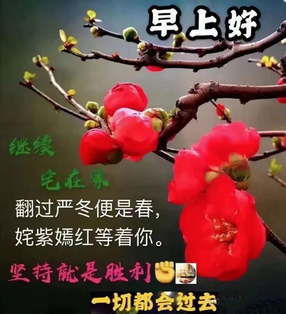 週二早安抗疫美好祝福圖文精選8張心相通意相連彼此問候暖心間多保重