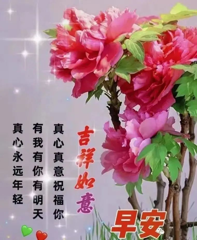 4月28日最新早上好动态表情图片大全集祝大家早晨好健康快乐表情图片