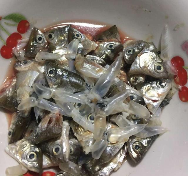 商家要點魚鱗,魚腸把它們收集起來,裝在大的油桶或者塑料桶中密封發酵