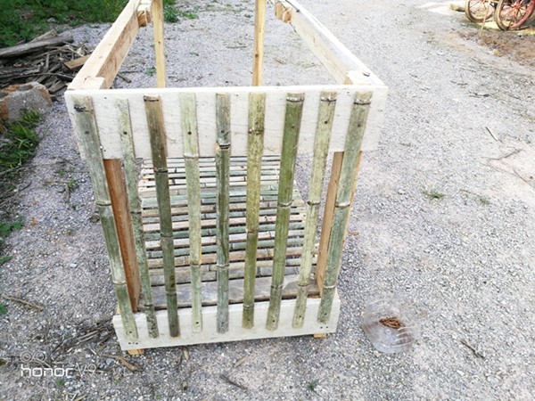 鸡笼的做法(鸡笼的做法就这么简单)