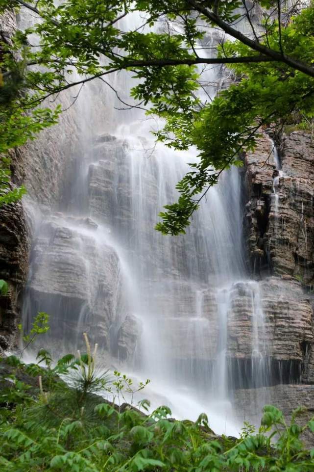 "|山东|萤火虫水洞|临沂|地下大峡谷|萤火虫