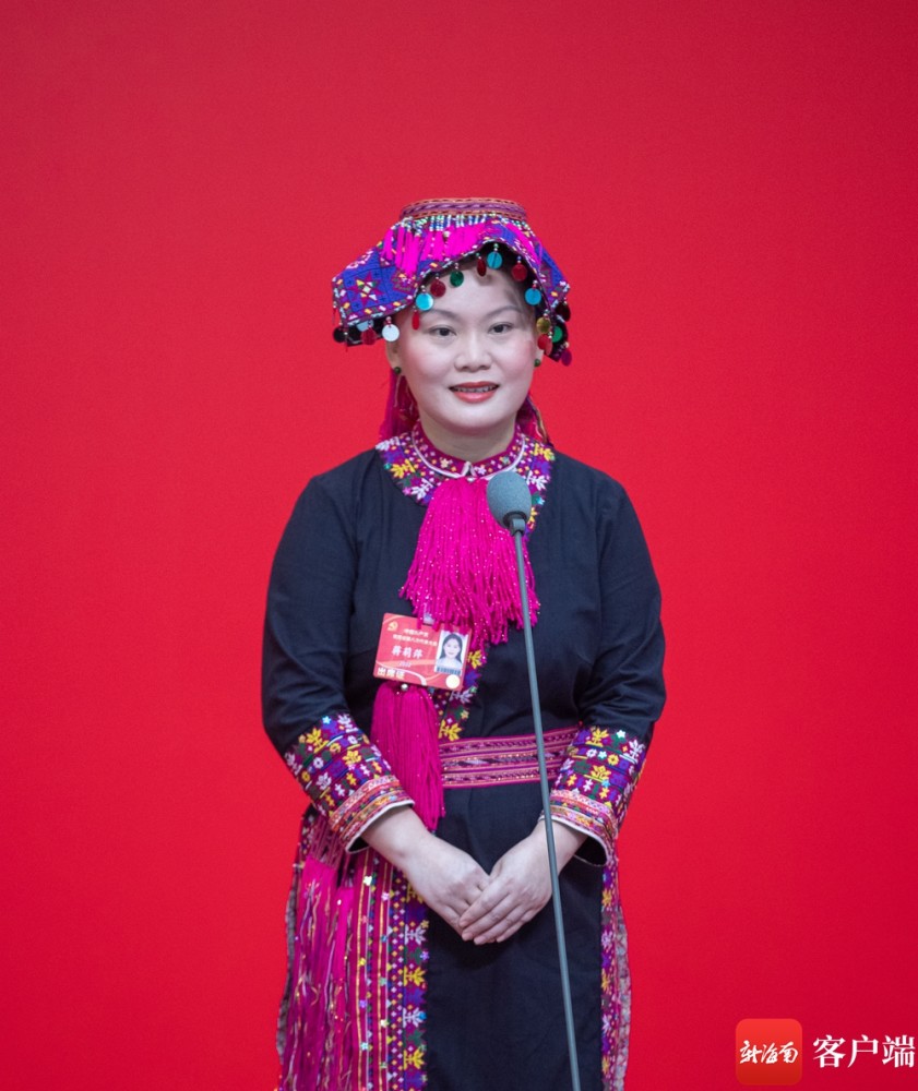 海南省第八次党代会举办第三场党代表通道