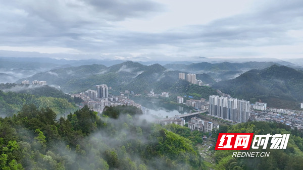 孙芳华 刘 辉)初夏雨后初霁,无人机视角下的绥宁县城周边山上的薄雾