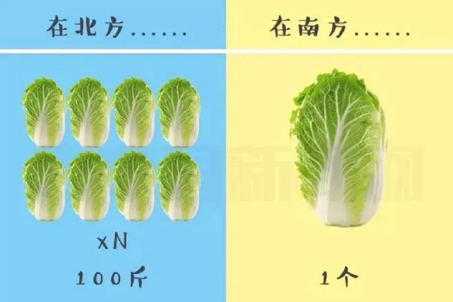 糧食與蔬菜，南慕容何及北喬峰600502安徽水利
