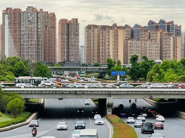 成都重点拥堵区域系列观察:魔幻的麓山大道