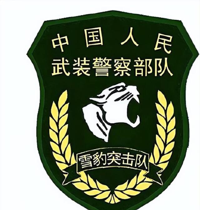 各省武警总队,通常都会辖有一支直属的特勤部队,地级市也有自己的武警