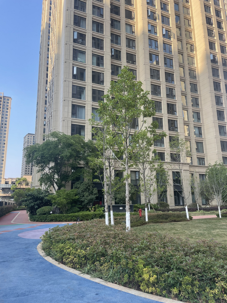 昆明绿城春江明月历经三年停工终交付