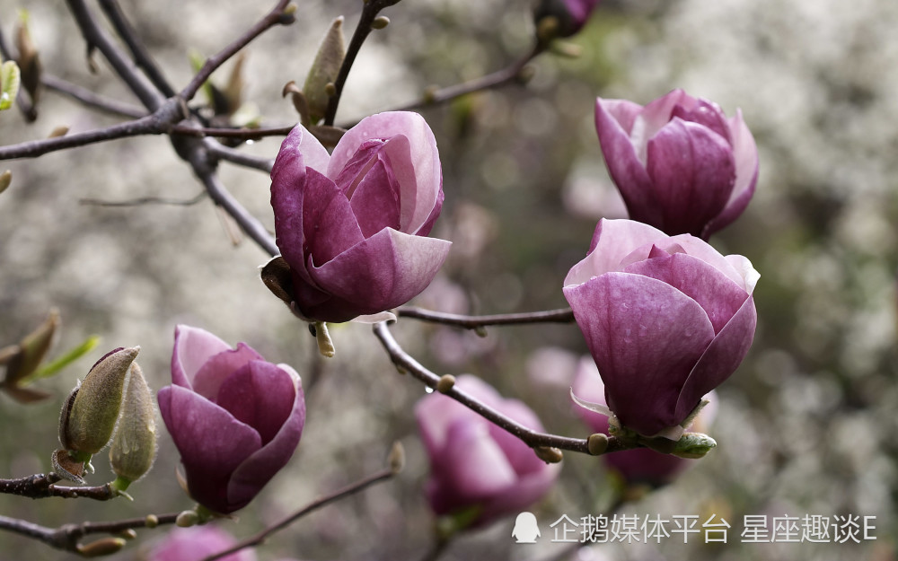 5月1日 31日星座运势 重燃斗志 与时俱进的四大星座 天天看点