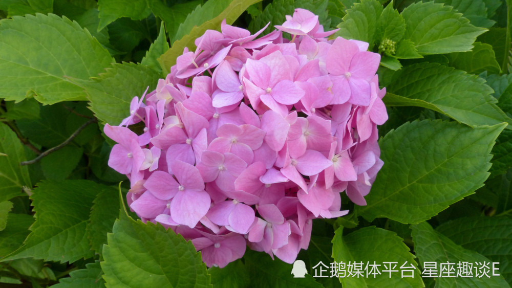 5月1日 31日星座運勢 重燃鬥志 與時俱進的四大星座 天天看點