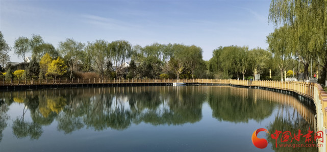 【陇拍客】张掖滨湖广场:碧波绿影花正艳 春日图景醉游人