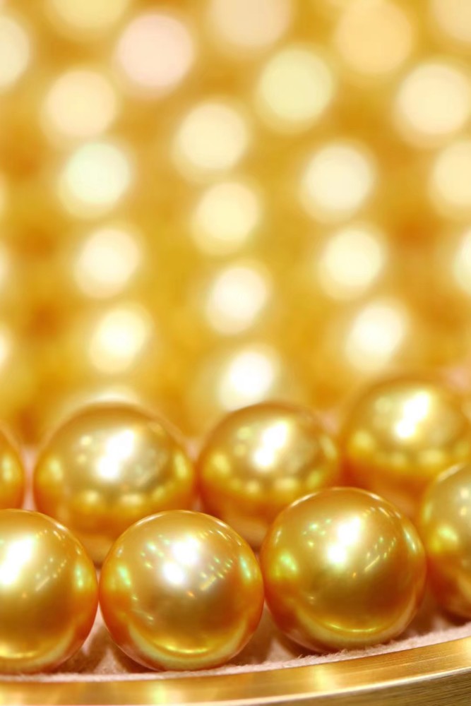 12-13mm菲律宾金珠,正圆强光几乎无暇!皮光细腻,颜色浓郁插图1
