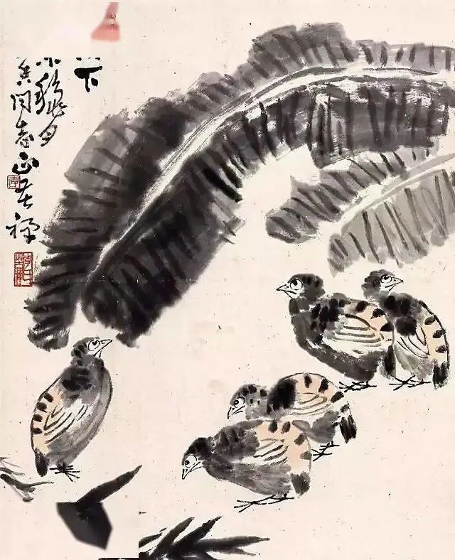 赏画|国画里的芭蕉,笔墨淋漓