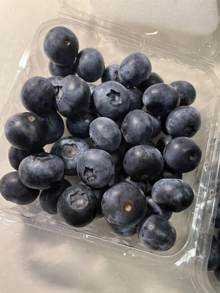 网课护眼选蓝莓!帮你试吃五个品种,从果味到纯甜,齐了!_腾讯新闻