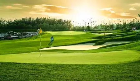 章小河一身职业高尔夫球手装扮,站在果岭上瞭望四周.